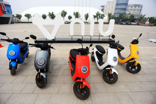 小牛踏足印度市場 中國電動(dòng)車全球征戰(zhàn)再下一城