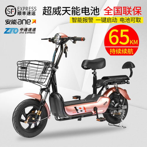 新國標(biāo)電動(dòng)車成人踏板電動(dòng)自行車48v小型電瓶車男女代步電單車