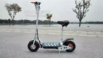 鶻鷹智能廠(chǎng)家直銷(xiāo) 臺(tái)州折疊電動(dòng)車(chē) 折疊電動(dòng)車(chē)哪家好圖片