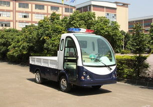 電動(dòng)廂式貨車(chē)廠(chǎng)家 朗晴電動(dòng)車(chē) 雙排電動(dòng)廂式貨車(chē)廠(chǎng)家