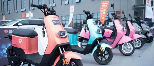 多年來騎電動汽車,哪個牌子的電池壽命更長 說明價格,質(zhì)量