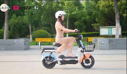 超標(biāo)電動(dòng)車退場，綠色出行新選擇 哪些電動(dòng)車值得換購？